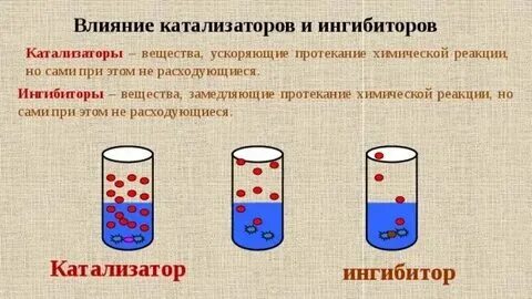 Примеры катализаторов и ингибиторов