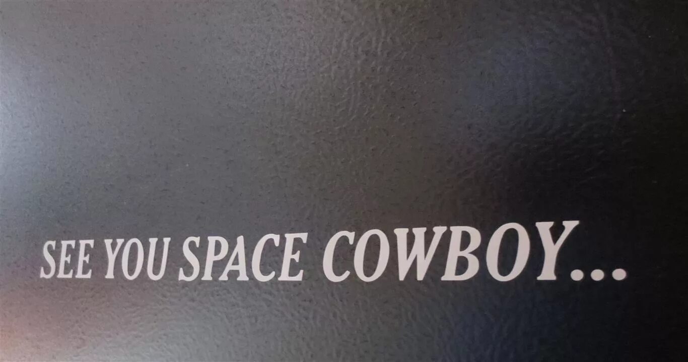 See you Space Cowboy. See you Space Cowboy обои. Увидимся космический ковбой. Ковбой Бибоп see you Space Cowboy.