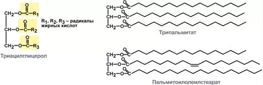 Структурные формулы триацилглицеридов. Формулы жирных кислот триацилглицеролов. Триацилглицериды биохимия структура. Триацилглицеролы биохимия формула. Радикал жирной кислоты