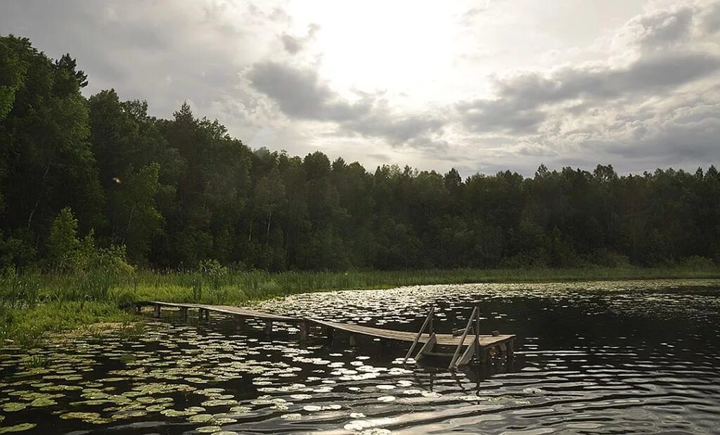 5 Озер в Муромцево Омская область. Урманное озеро Омская область. Пять озёр Омская область. Озеро Данилово Муромцевский район Омская область.