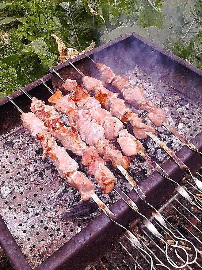 Сколько жарится шашлык из курицы. Шашлык. шашлык на мангале. мангал шашлычок. шашлык жарится.