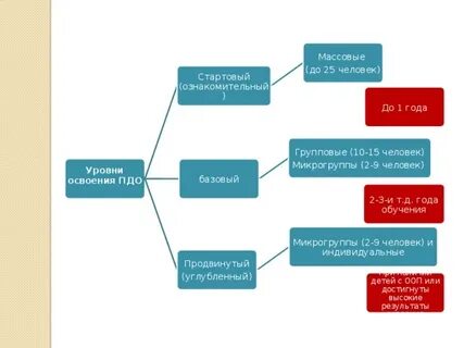 Дополнительная общеразвивающая программа стартовый уровень
