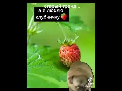 Песня ты любишь земляничку ага