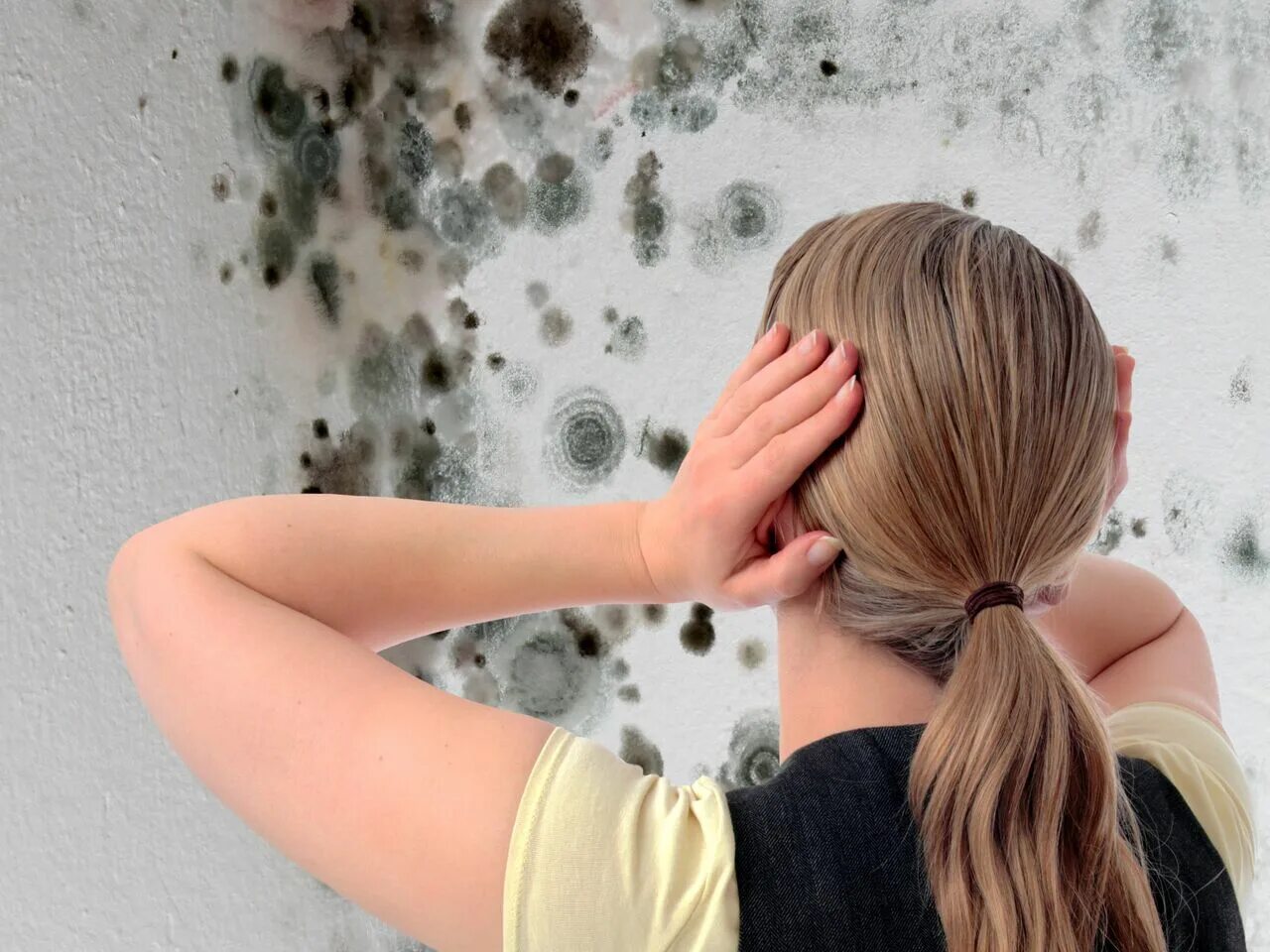 Плесень грибок. Избавление от грибка на стенах. Очистка плесени на стенах. Плесень в доме.
