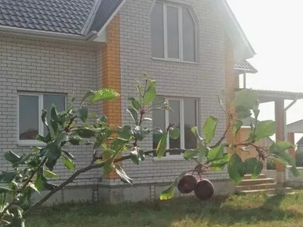 Дом воронежская область село семилуки