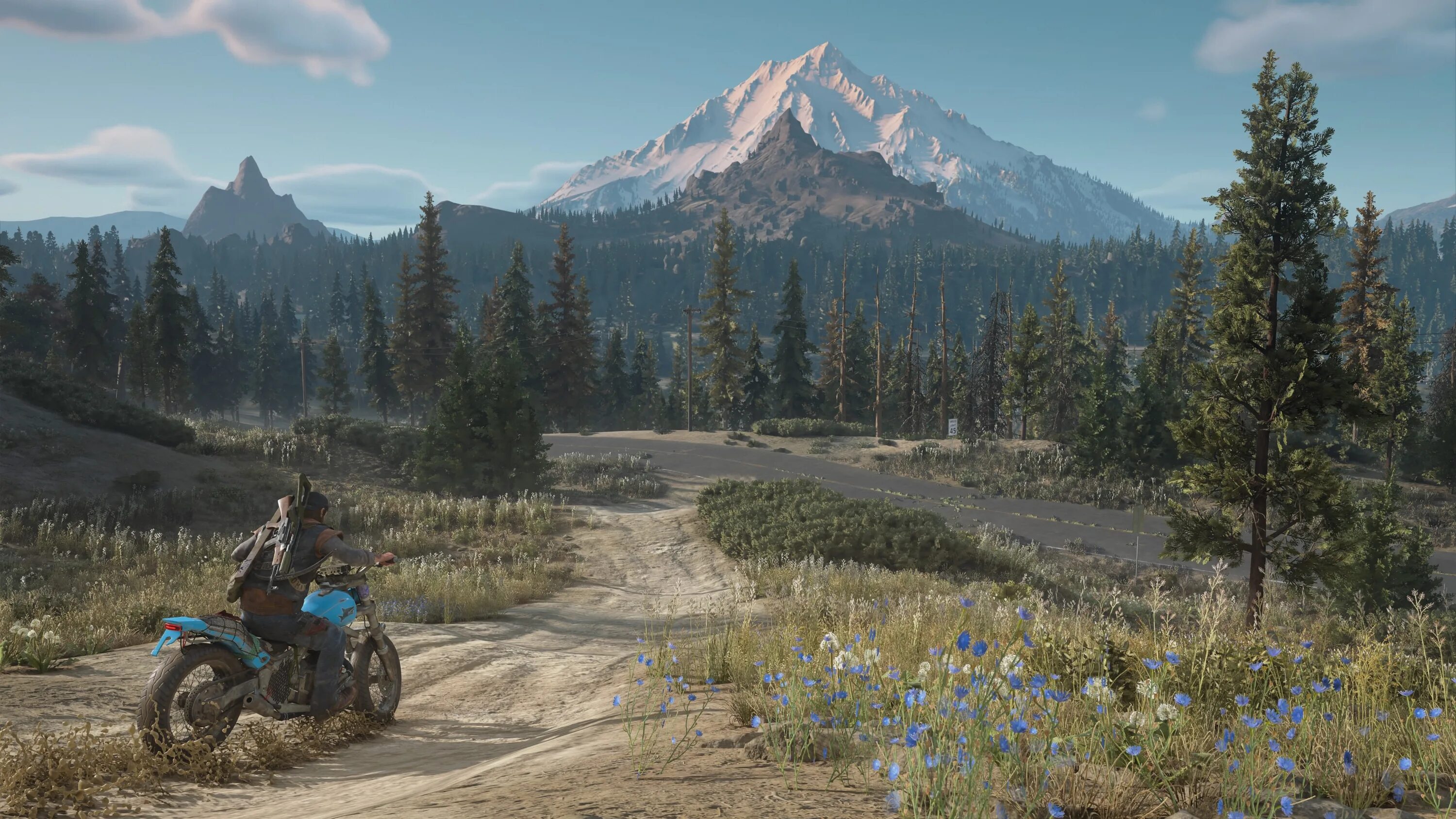 Back screens. Days gone. Days gone 4к. Дейс Ган пейзаж. Days gone дорога.