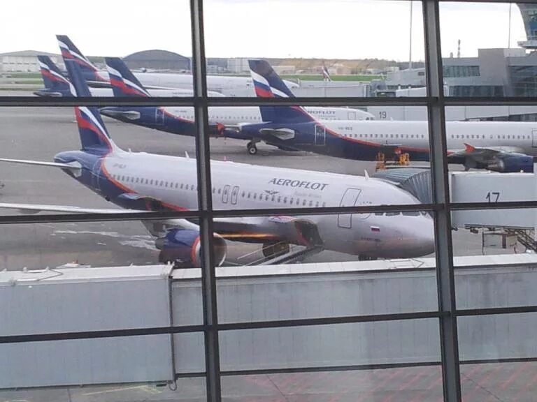 Самолет аэрофлот. Su1731. Su1731. Аэробус а330-300 аэрофлот. Su1731.