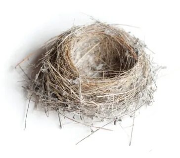 Empty nest