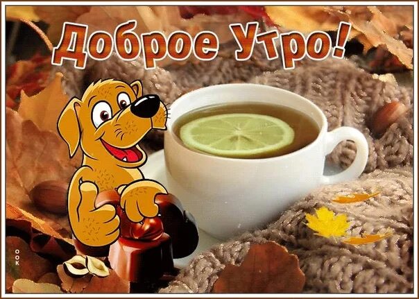 С добрым октябрьским утречком замечательного дня картинки. Открытки с добрым утром осенние красивые необычные. поздравление с добрым осенним утром. открытки с добрым замечательным утром с чаепитием. анимированные открытки с добрым утром.