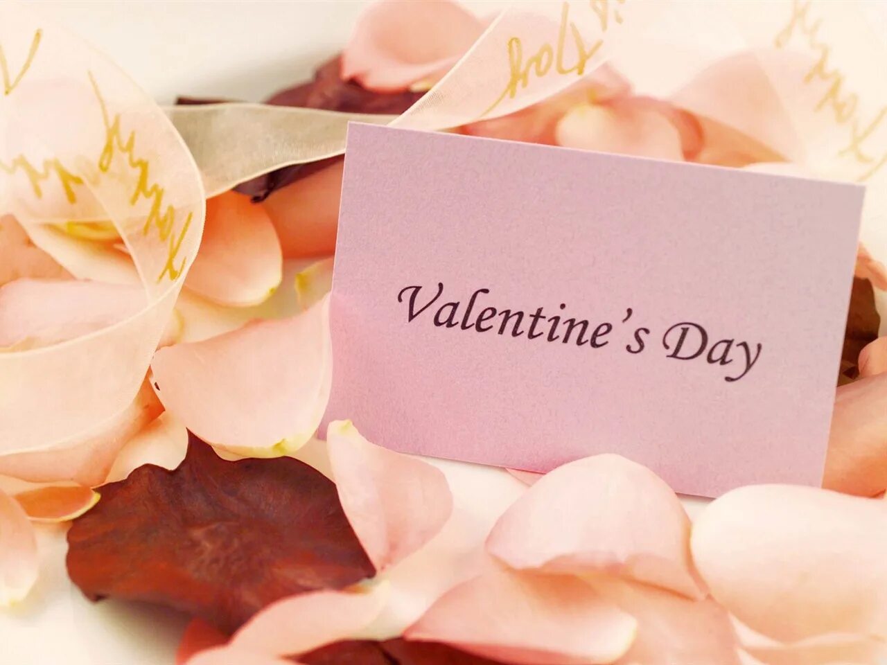 Day of love. Day of love