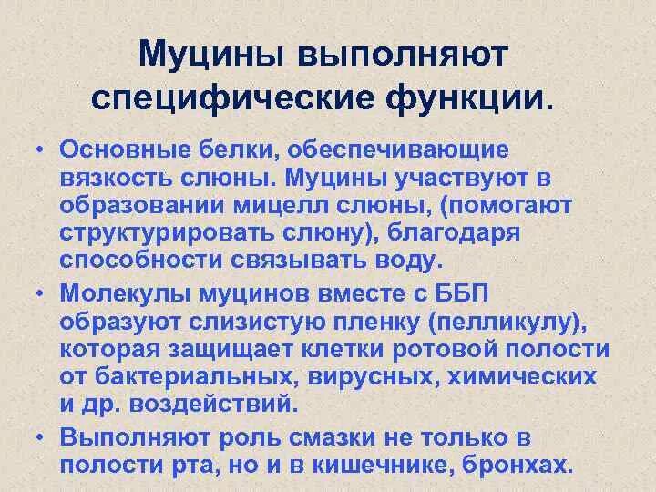 Защитные секреторные функции выполняют. Муцин функции. муцин слюны функции. общая характеристика белков слюны. муцин слюны биохимия.