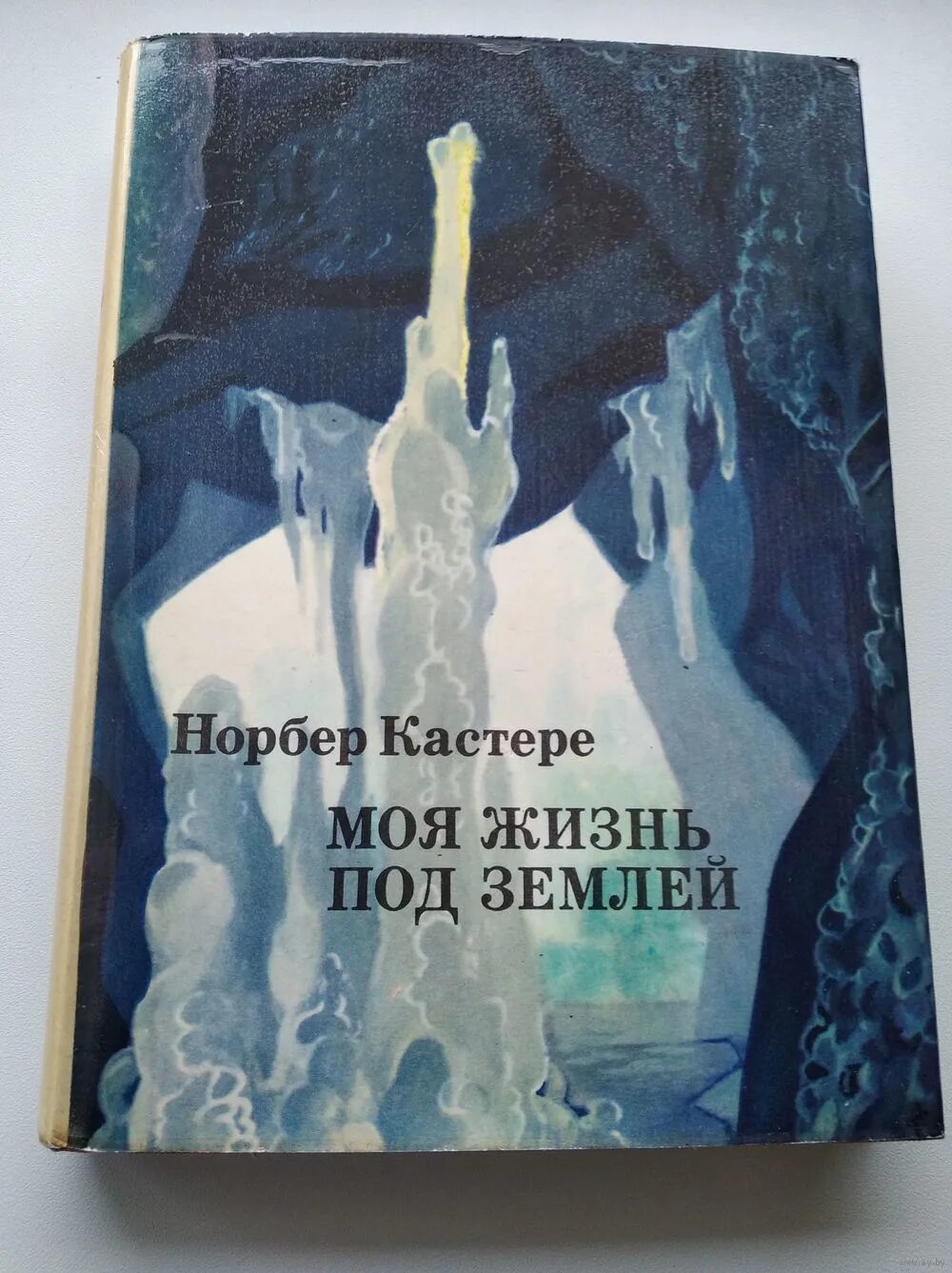 Https libking book. Норбер Кастере книги. Норбер Кастере моя жизнь под землей. Норбер Кастере 10 лет под землей. Норбер Кастере моя жизнь под землёй на французском.