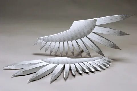 Paper wings