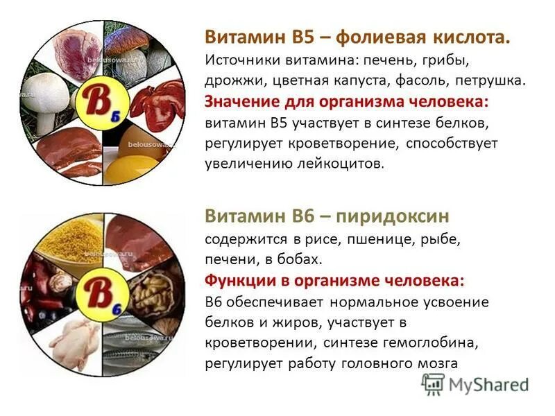 Печень витамины