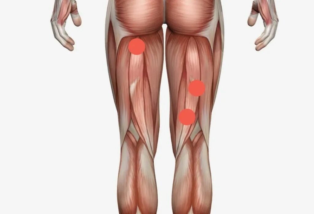 Почему тянет ногу от бедра до колена. Растяжение сухожилия бедра. Растяжение двуглавой мышцы бедра. Растяжение полуперепончатой мышцы. Полусухожильная мышца растяжение.