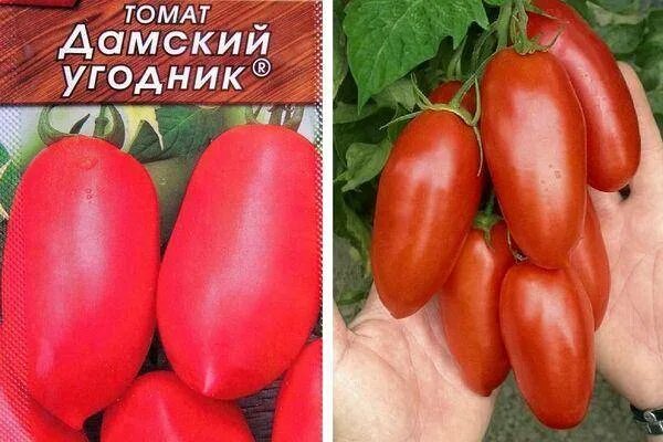 Семена Аэлита, томат "Дамский угодник" купить в Курске: цена, характеристика и ф