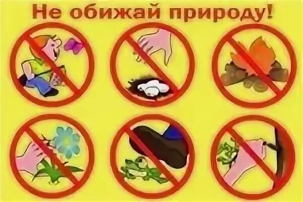 Не обижай их
