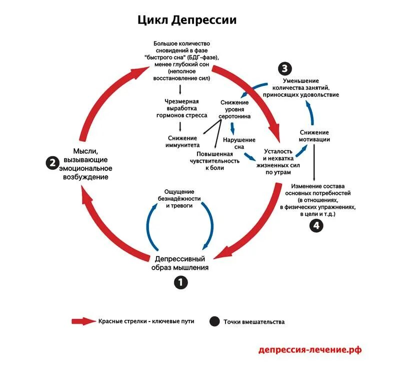 Жизненный цикл в психологии. Схемы лечения депрессивных расстройств. Психологические симптомы депрессии. Как лечить депрессию. Депрессия схема.