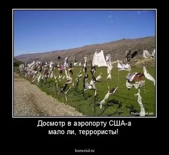 Нечего скрывать
