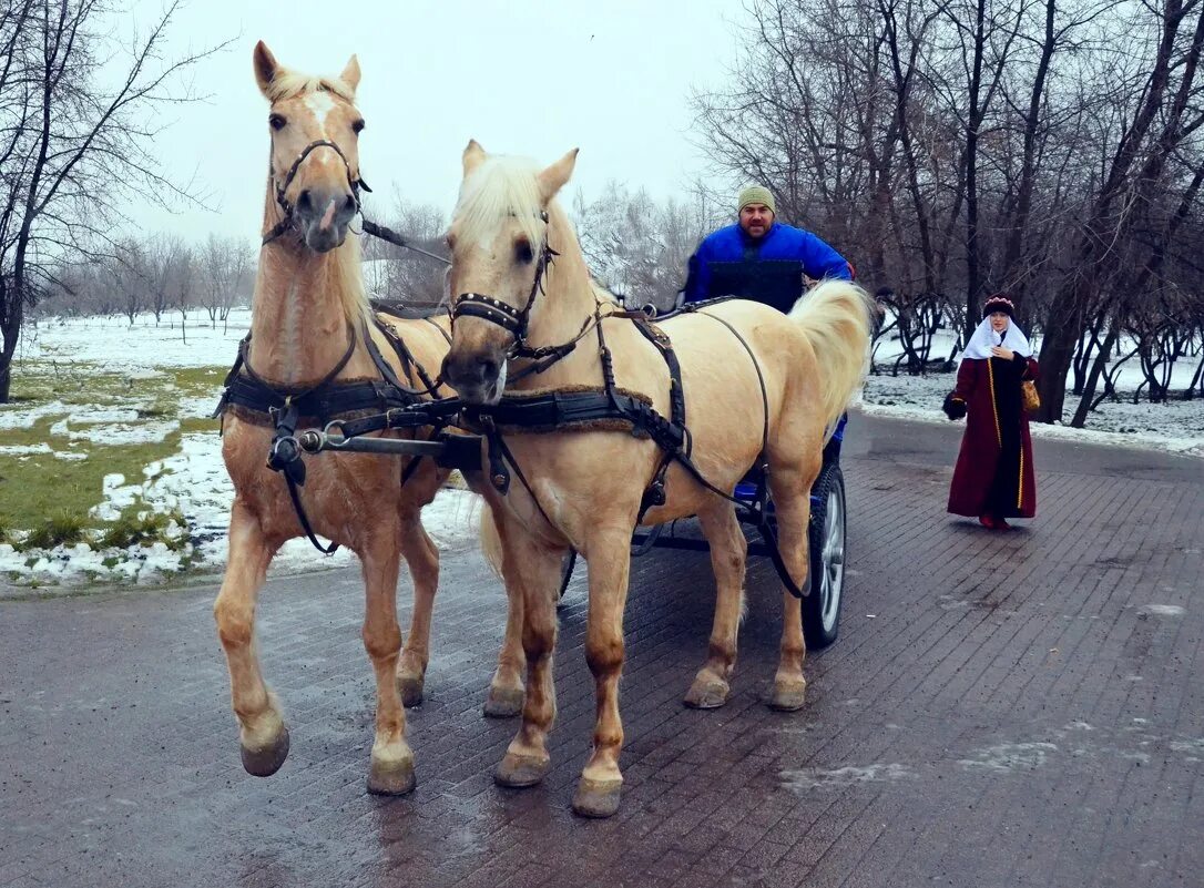 Ездить отправиться. Поедем красотка кататься. Красотка катается. Поедем красотка кататься фото. Поехали кататься.