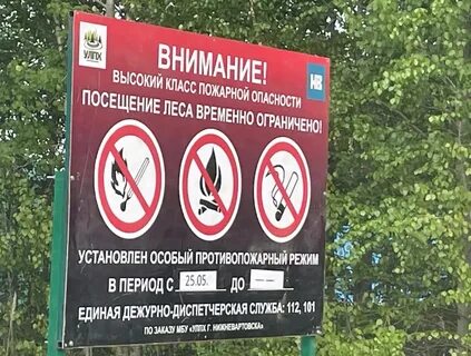 Закон о запрете в лес