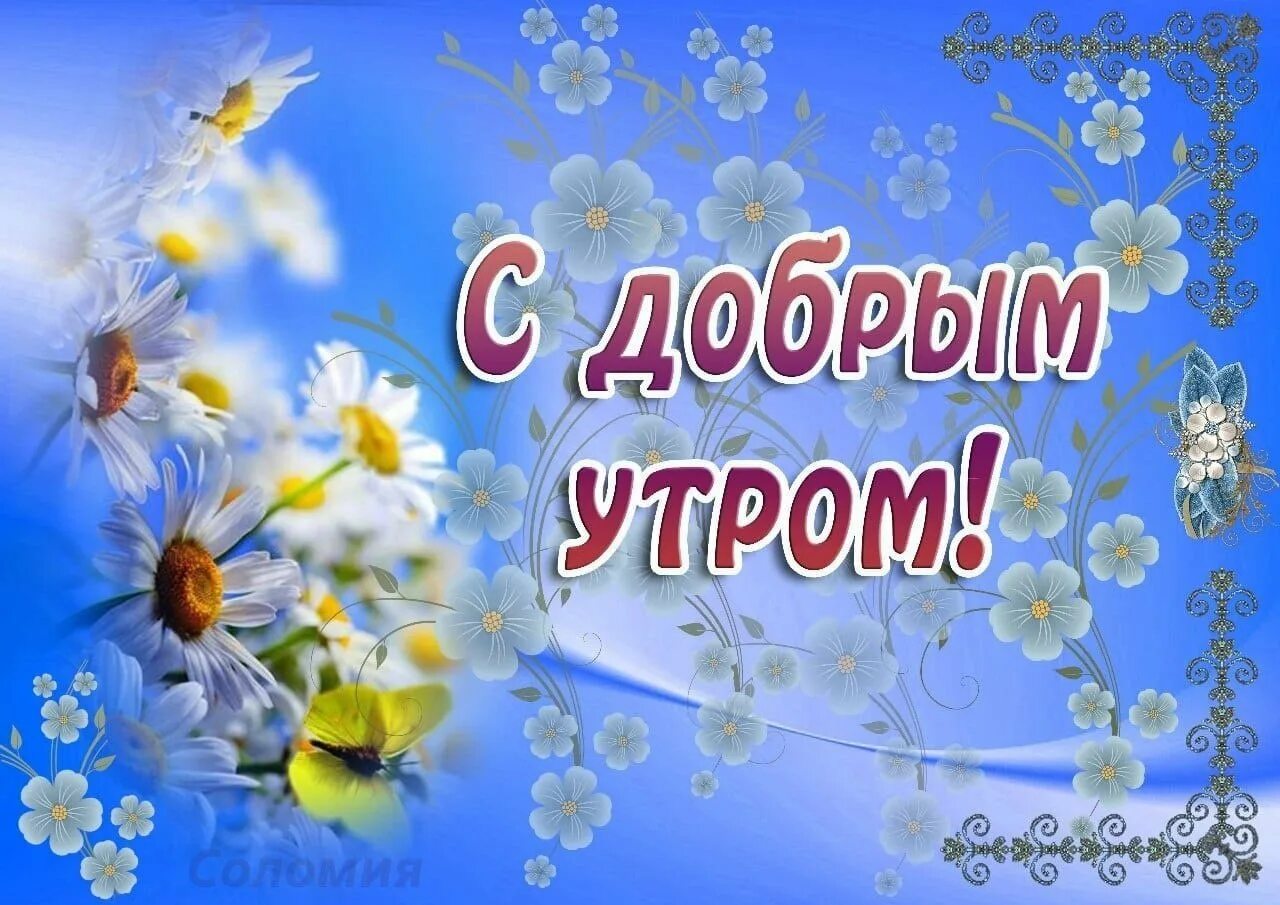 Пожелания доброго весеннего утра и удачного. Открытки с добрым утром весенние. с добрым у ром открытка весенняя. пожелания с добрым весенним утром. открытки с добрым утром весенние красивые.