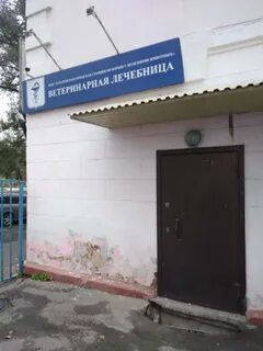 Ветклиника хабаровск