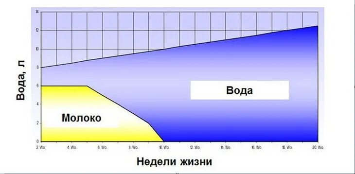 Сколько воды теленку. Потребность телят в воде.