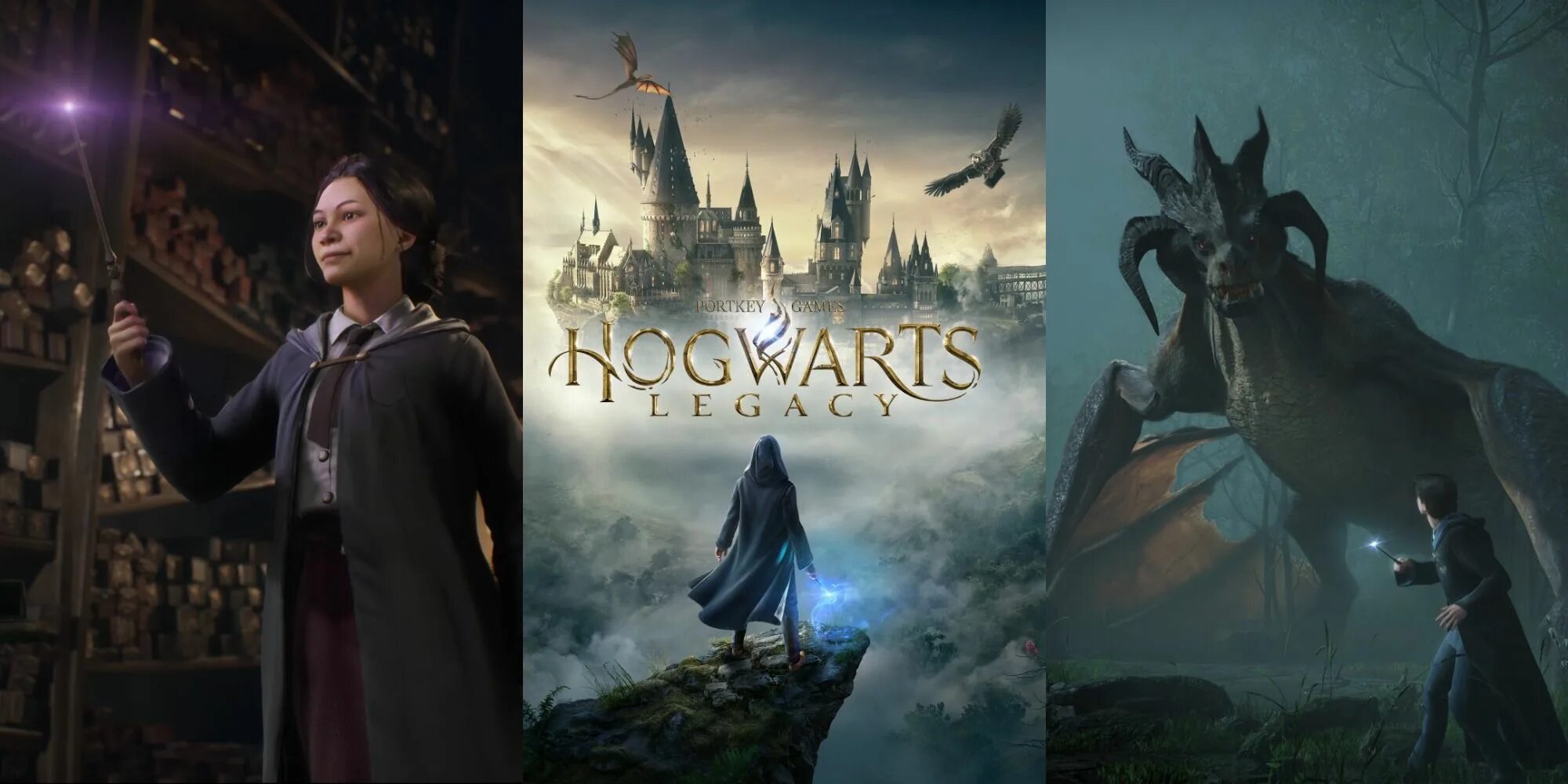 Хогвартс наследие ps5. Хогвартс на пс 4. Hogwarts legacy русская версия ps5. Hogwarts legacy ps4 pro. Hogwarts legacy ps4 pro.