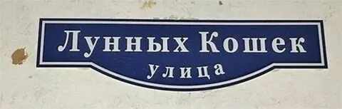 Улица лунных кошек