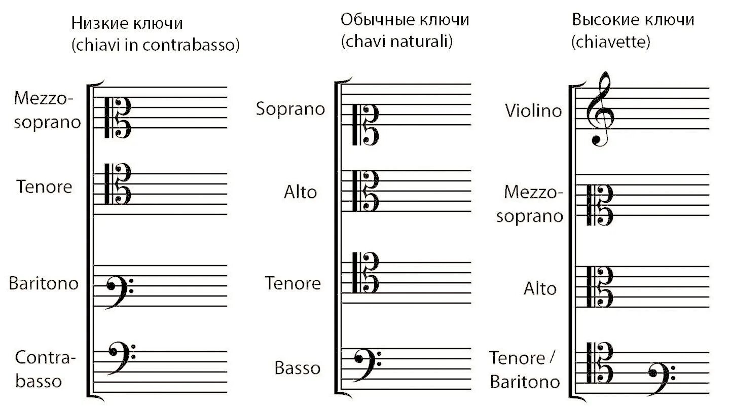 Значение музыкальных нот. Скрипичный басовый Альтовый теноровый ключи. Ключи Сопрановый Альтовый теноровый. Сопрановый ключ расположение нот. Виды ключей в Музыке.