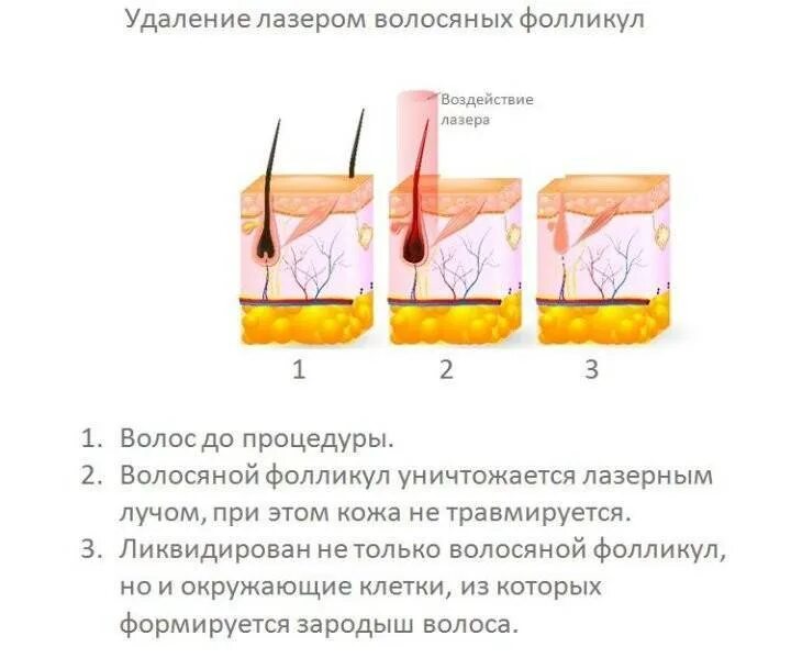 Через кожу удаляется