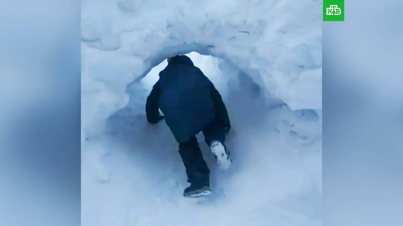 Ребенка бросают в сугроб. Кидают в сугроб. Ноги из сугроба. Блогеры бросивший ребенка в сугроб видео. Дети кидают снег.