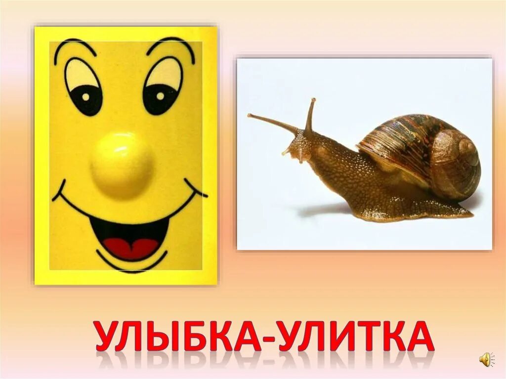 Улитка улыбается. Улыбка улитки. Улитка на л ль. Улитка улыбнись. Улитка улыбка