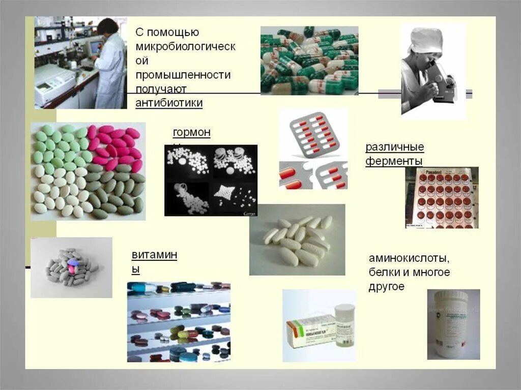 Биотехнология получения белка. Микробиологическая промышленность. Продукты микробиологической промышленности. Бактерии в микробиологической промышленности. Микробиологическая технология в промышленности.