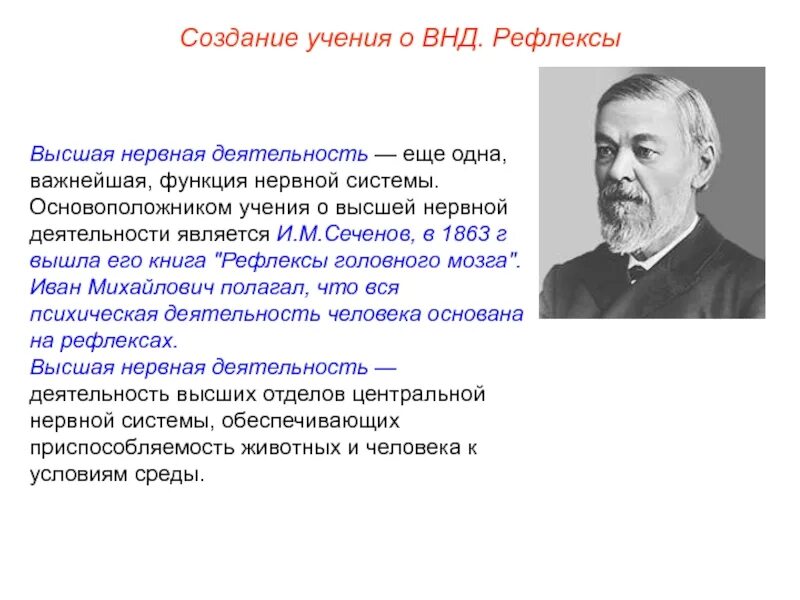 Жозеф артюр де гобино расовая теория. Основоположник расовой теории. Основателем доктрины. Павлова о внд. Основателем доктрины.