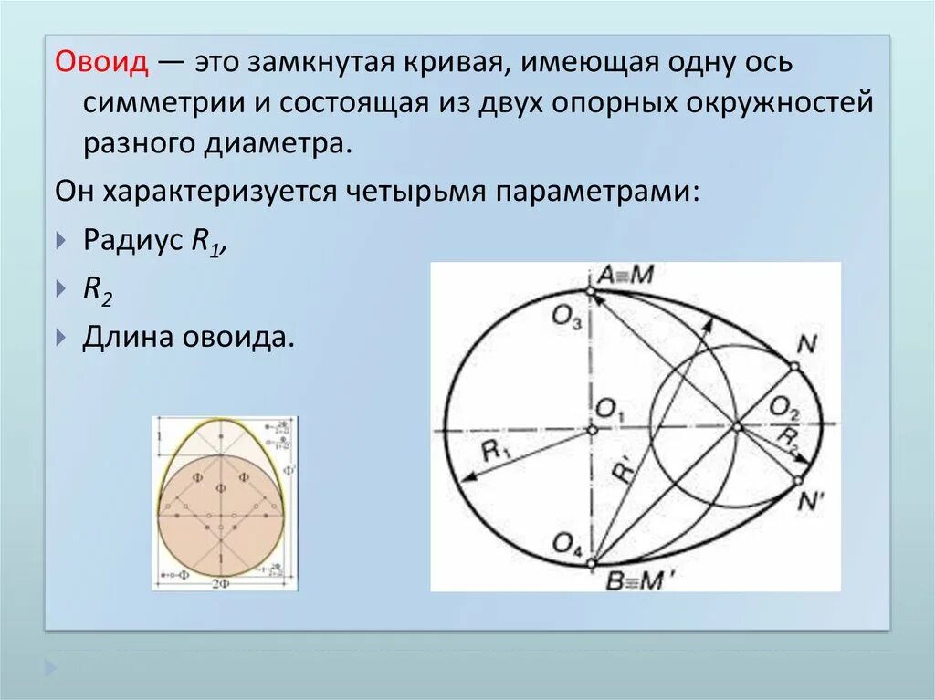Овоидной формы что это