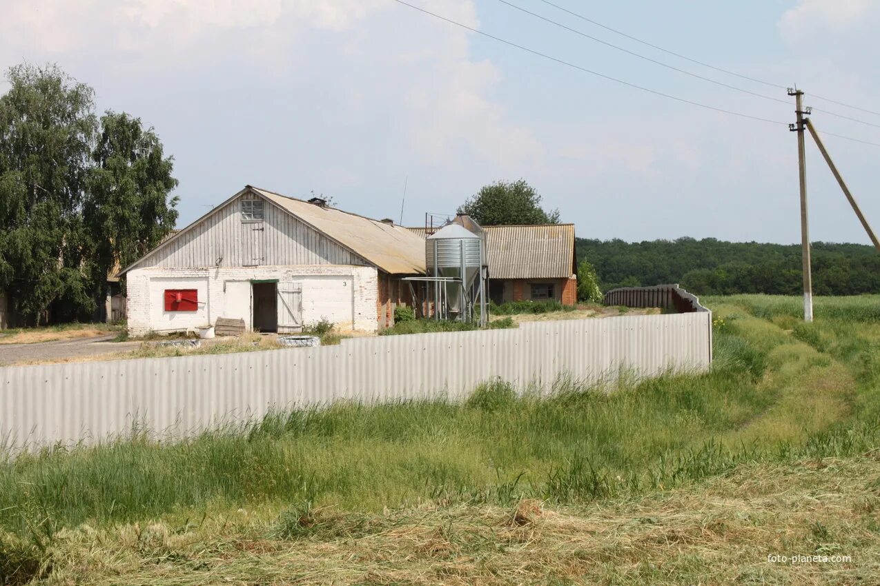 Орловка белгородской. Орловка белгородской. Орловка белгородской. Орловка белгородской. Село орловка белгородская область.