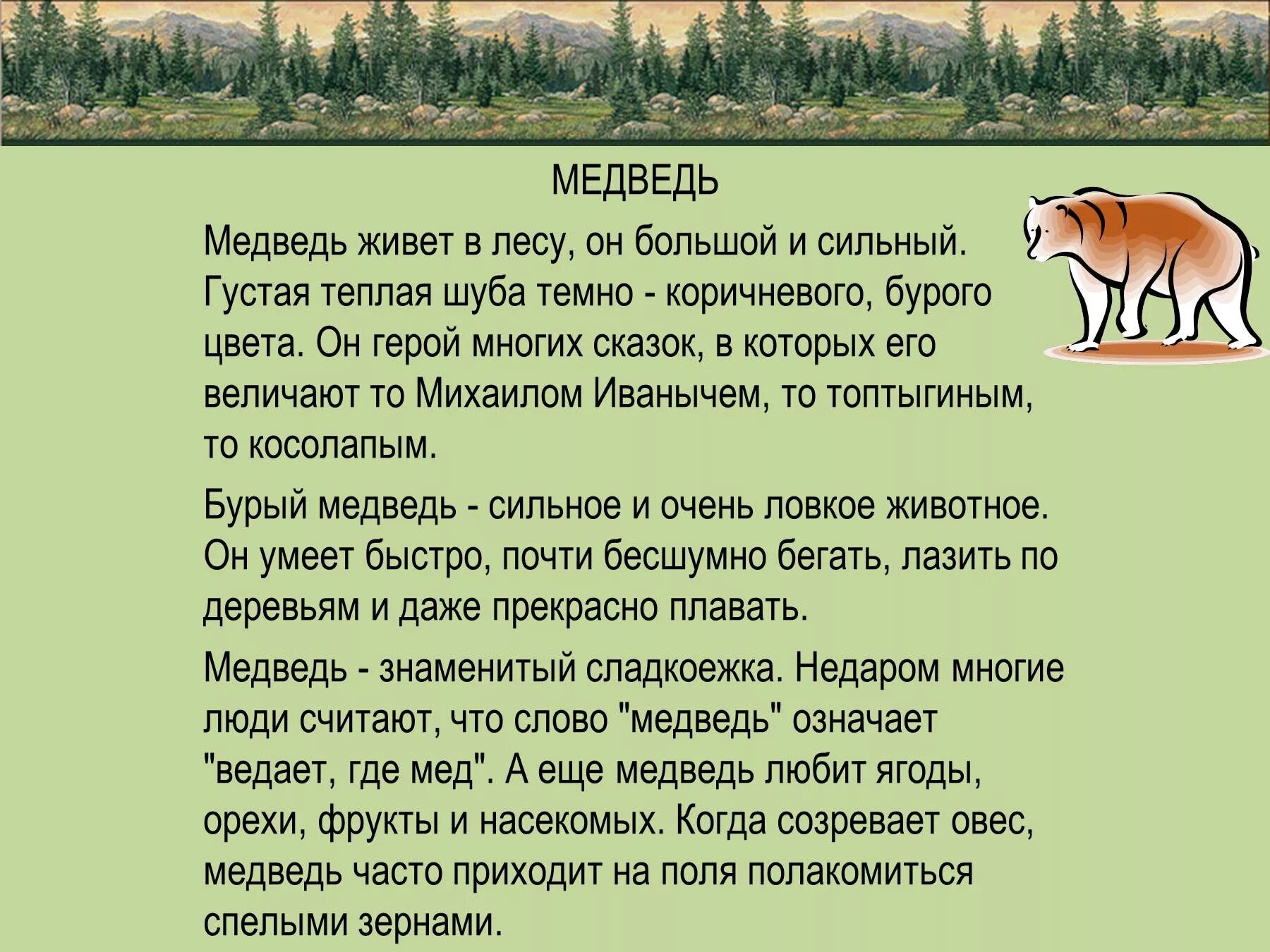 Рассказы про диких животных. Рассказ о медведе. Рассказ о животных медведь. Рассказ о лесных животных. Описать дикое животное.