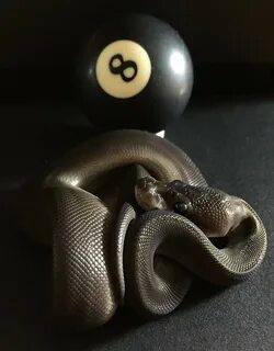 My 8 Ball (Super Black Pastel) .