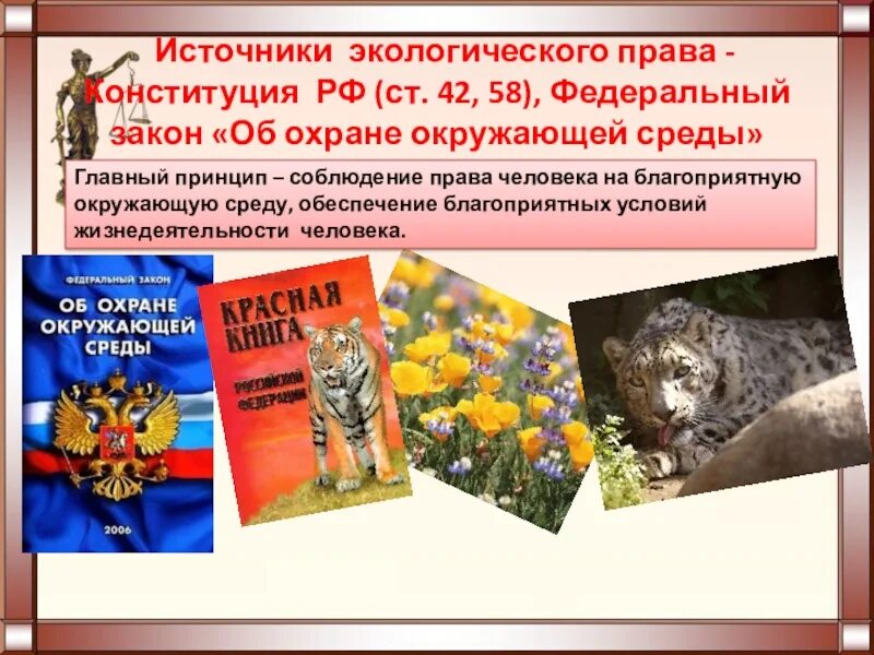 защита экологии и окружающей среды. конституционная защита окружающей среды. право на благоприятную окружающую среду экологическое право. правовая защита природы. сохранение природы и окружающей среды.