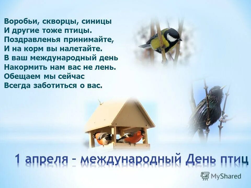 текст день птиц. текст день птиц. всемирный день птиц. день птиц. 1 апреля международный день птиц.
