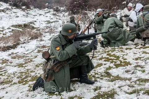 Голубая дивизия страна