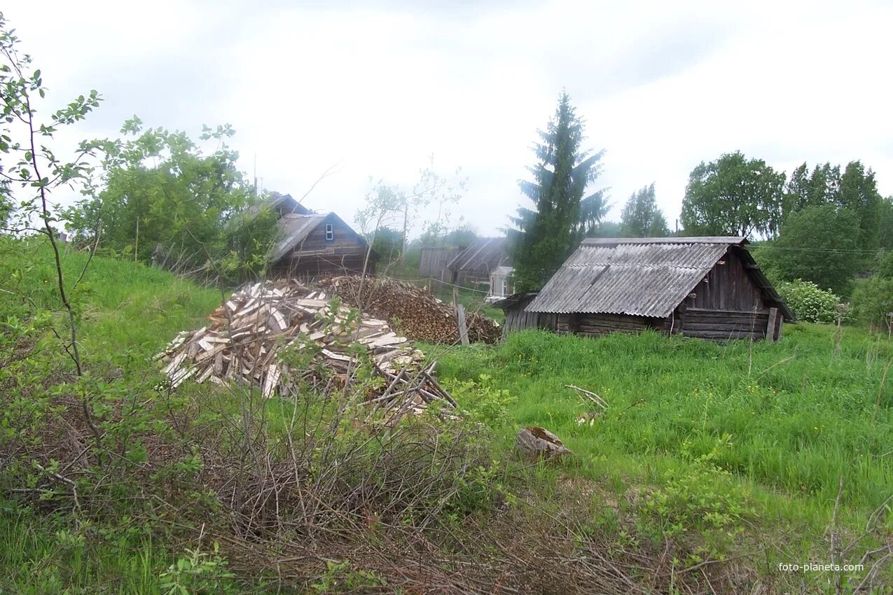 Погода в красилово валдайского. Деревня красилово валдайский. Деревня красилово. Погода в красилово валдайского. Погода в красилово валдайского.