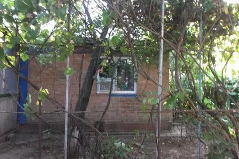 Погода в дивном ставропольский край на неделю