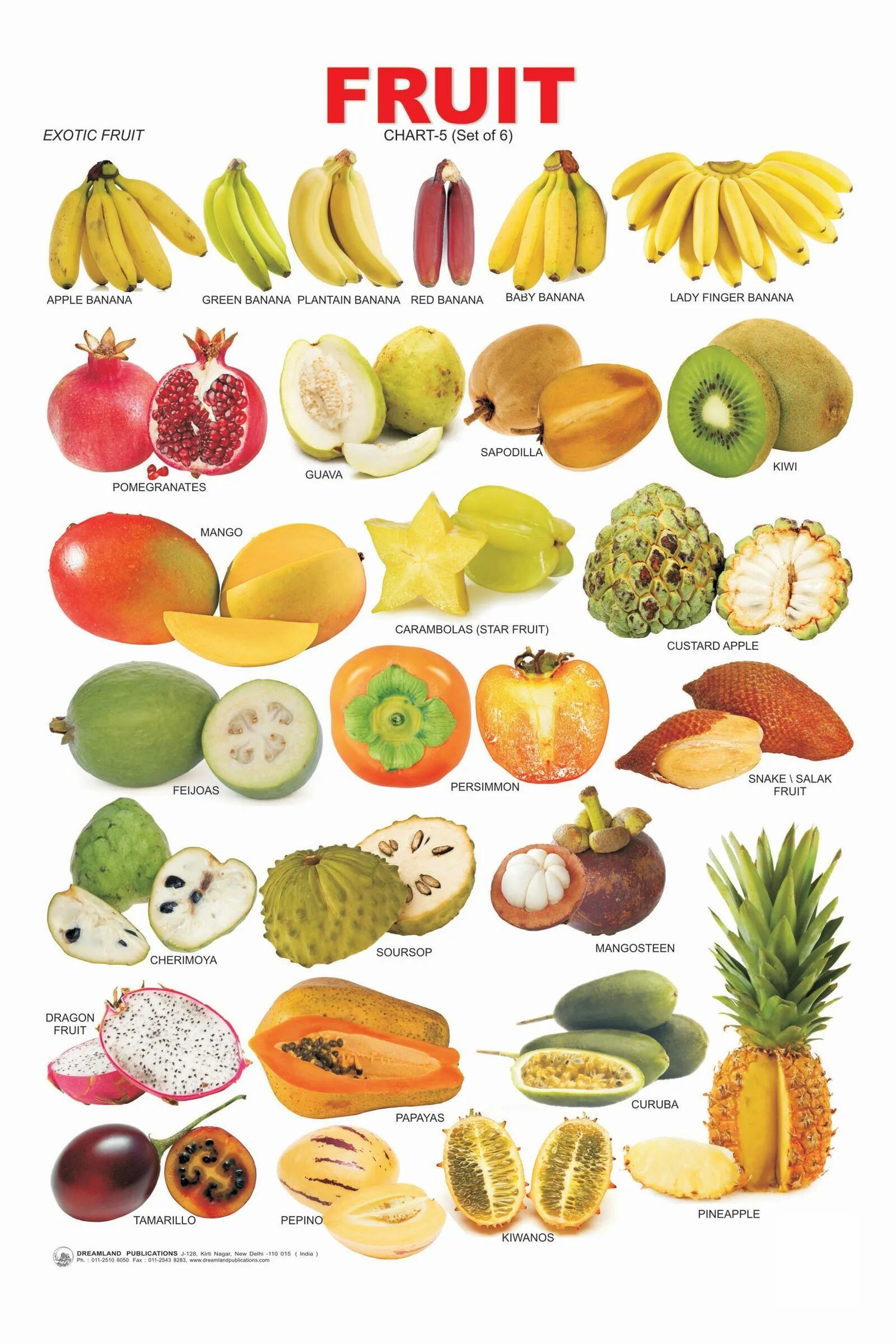 Названия фруктов на русском языке. Экзотические фрукты. Экзотические фрукты названия. Экзотические фрукты и овощи. Тропические фрукты названия.
