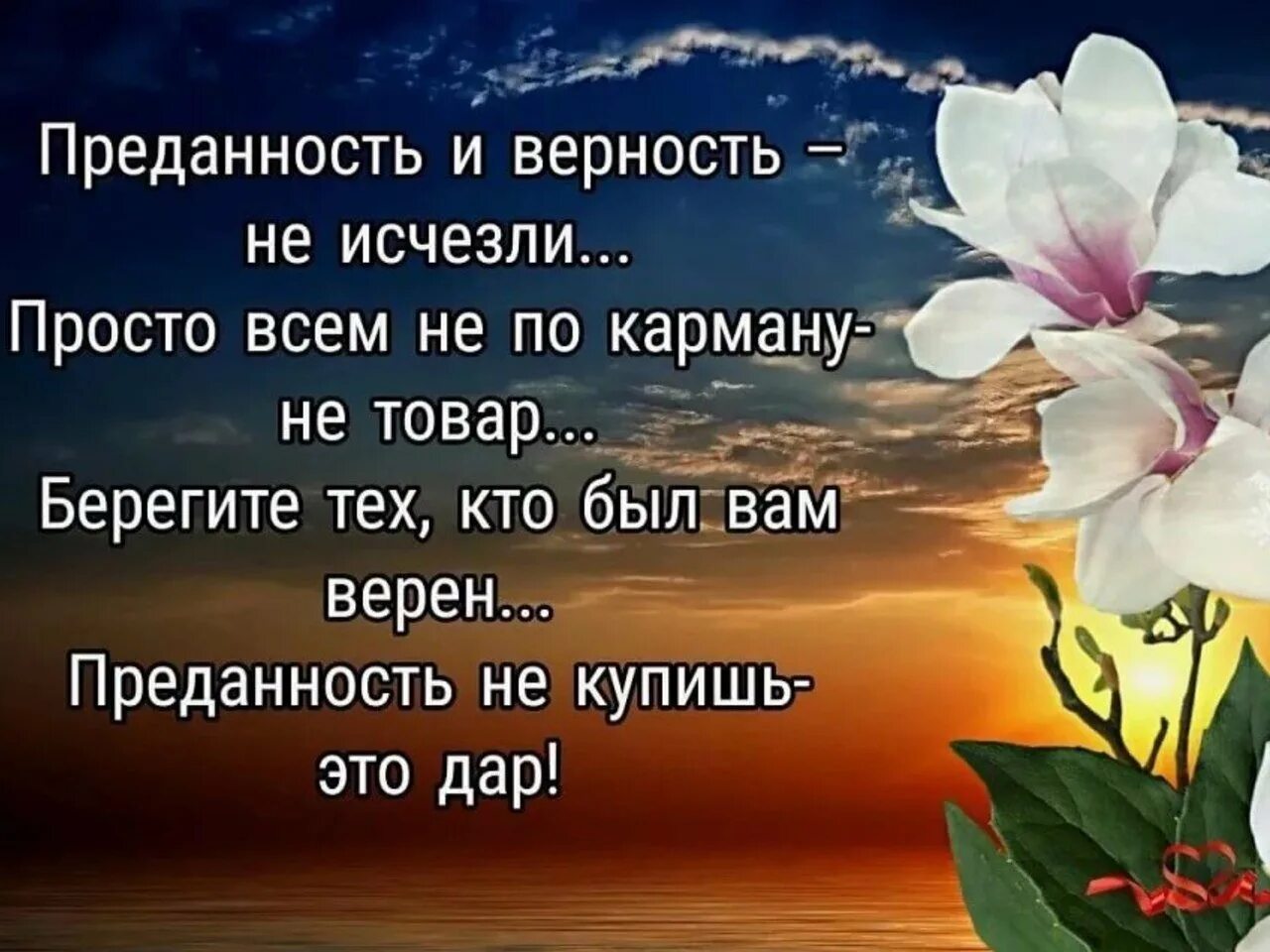 Как повысить верность. Высказывания про верность и преданность. Цитаты про верность. Афоризмы про любовь и верность. Цитаты про верность и любовь.