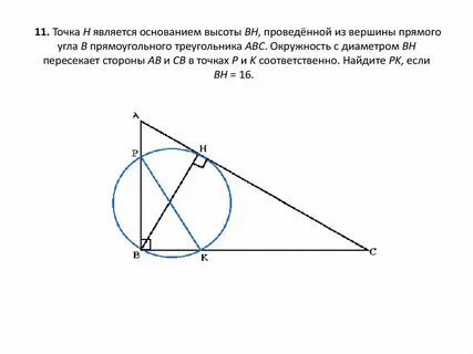 Сколько высот можно провести