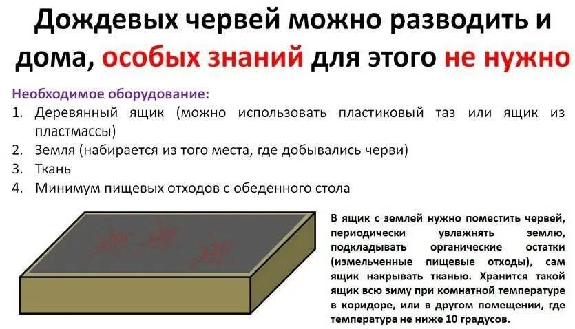 Разведение дождевых