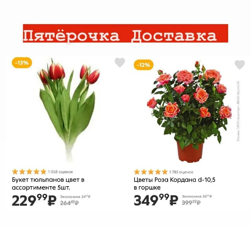 Тюльпаны в пятерочке 2024. Цветы из пятерочки в горшках. Букет тюльпанов в пятерочке. Тюльпаны в пятерочке 2024. Тюльпаны в пятерочке.